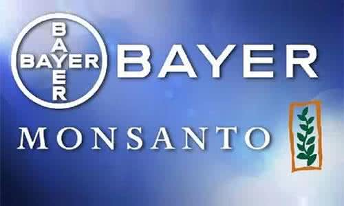 快速提现怎么选？哪家股票/期货平台最安全？全网最全分析正规平台高通过率指南