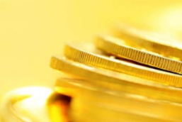 低风险股票怎么选？从0到1快速入门指南，全网最全分析不踩雷不被坑